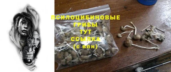 винт Алексеевка